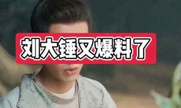 刘大锤最新爆料照片