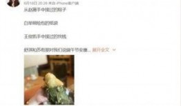 有网友爆料粽子吗视频在线观看,粽子视频在线观看，揭秘传统美食制作过程