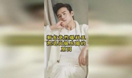 娱乐圈最新爆料王凯,娱乐圈再掀波澜