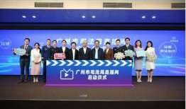 法治频道今日在线观看,实时在线观看精彩法治动态