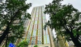 贵州花果园爆料案件最新,惊现惊人内幕，真相即将揭晓！