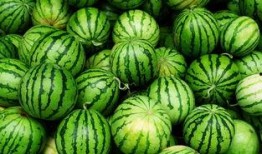 诸暨网红吃瓜事件真相,真相背后引人深思