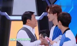 成龙快本爆料视频大全在线观看,揭秘巨星幕后故事