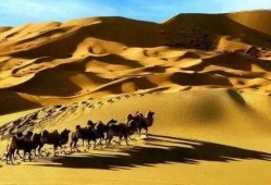 最新沙漠爆料,探寻未知的神秘世界