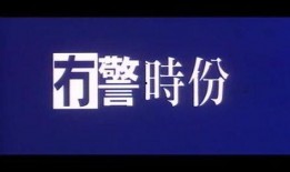 冇警时份在线观看,揭秘黑暗中的正义之战