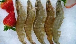 虾尾爆料新闻,揭秘娱乐圈最新热点事件