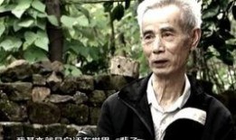 热点爆料案情视频大全集,揭秘真实社会百态