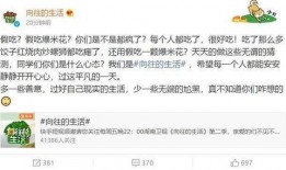 娱乐圈的爆料和澄清的区别,真相与谣言的较量