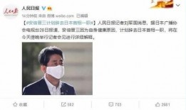 日本记者离职爆料视频,内幕曝光，真相令人震惊