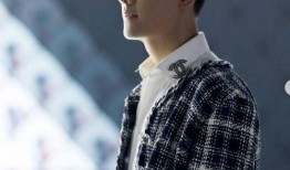 最新爆料陈伟霆,揭秘明星背后的故事与挑战