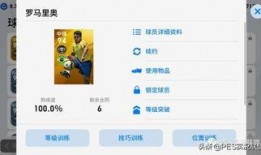 爆料国服照片大全下载最新,最新爆料带你领略视觉盛宴