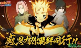 火影爆料直播回放视频,精彩瞬间回顾与幕后花絮大公开