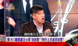 汪小菲被爆料视频播放,揭秘事件背后真相