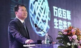 天涯爆料张近东视频,天涯爆料视频背后的真相与争议