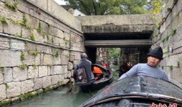 绍兴跳桥最新爆料大善村,真相与疑云交织