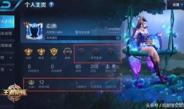 王者近日爆料最新英雄是谁,神秘角色引玩家热议