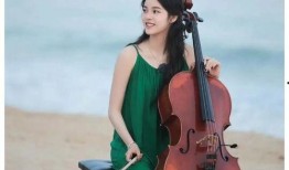 娱乐圈大爆料白鹿,揭秘明星背后的故事