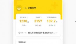 自媒体收益视频博主爆料,视频博主真实爆料，揭秘收益背后的秘密