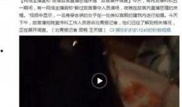 女主播爆料泰国视频大全,泰国视频大全背后的惊人真相