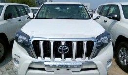 新款霸道爆料视频大全下载,揭秘新款霸道爆料视频大全下载亮点