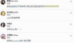 怎么做爆料视频微博明星,揭秘微博明星爆料视频制作攻略