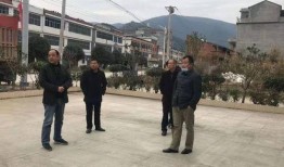 龙港爆料新闻网最新疫情