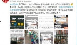 微博安师大爆料最新消息,揭秘校园热点事件真相！