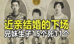 近亲 在线观看,揭秘家族秘密的在线悬疑之旅