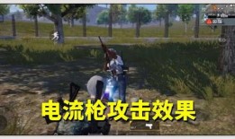 和平精英爆料武器大全最新,武器大全全新升级，盘点热门枪械性能解析