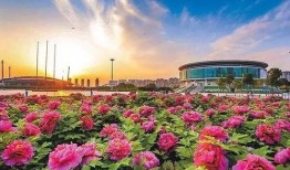 洛阳植物园最新爆料,探秘植物界的“秘境奇观”