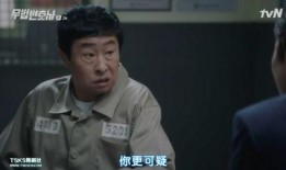 痞子律师在线观看,在线观看，激情辩护背后的正义之战