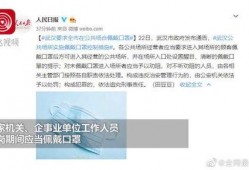 武汉最新新闻爆料消息,揭秘城市热点事件背后的真相