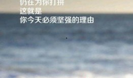 正能量励志视频爆料热线,爆料热线带你走进感动瞬间