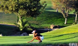 娱乐吃瓜酱50万,揭秘50万背后的娱乐风云