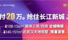 武汉最新新闻爆料消息,揭秘城市热点事件背后的真相