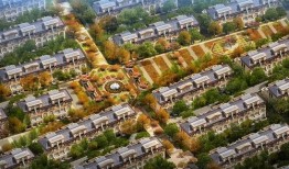 今日头条廊坊最新爆料,揭秘事件真相