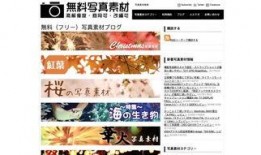 搜索最新爆料网站大全图片,一网打尽全网热点资讯