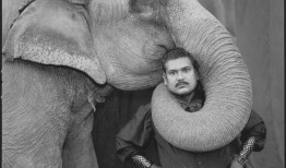 大象玛莉爆料事件视频在线观看,揭秘事件背后惊人真相