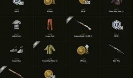 绝地求生通行证最新爆料,揭秘神秘内容与升级系统