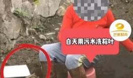 有网友爆料粽子吗视频在线观看,粽子视频在线观看，揭秘传统美食制作过程