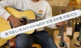 爆料弹吉他抖音视频大全