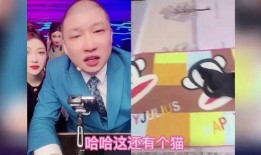 驴家女主播最新爆料,独家爆料背后的惊人真相