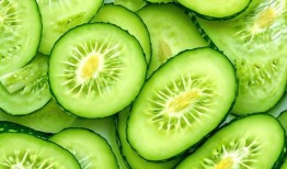 吃瓜背景视频下载免费观看,免费观看背景视频，一网打尽吃瓜乐趣