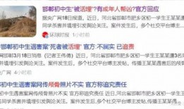 厘米官方爆料视频,全新功能与亮点抢先看