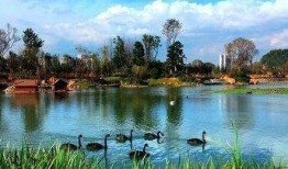 贵州花果园爆料案件最新,惊现惊人内幕，真相即将揭晓！