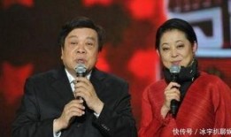 赵忠祥爆料豪宅事件视频,揭秘娱乐圈背后的奢华生活