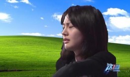 雨姐爆料大连旅游视频大全,雨姐带你畅游海滨风情