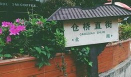 绍兴跳桥最新爆料大善村,真相与疑云交织