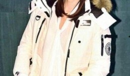 记者爆料全智贤视频,独家揭秘明星幕后生活