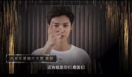 王二博爆料视频大全集,揭秘娱乐圈幕后真相